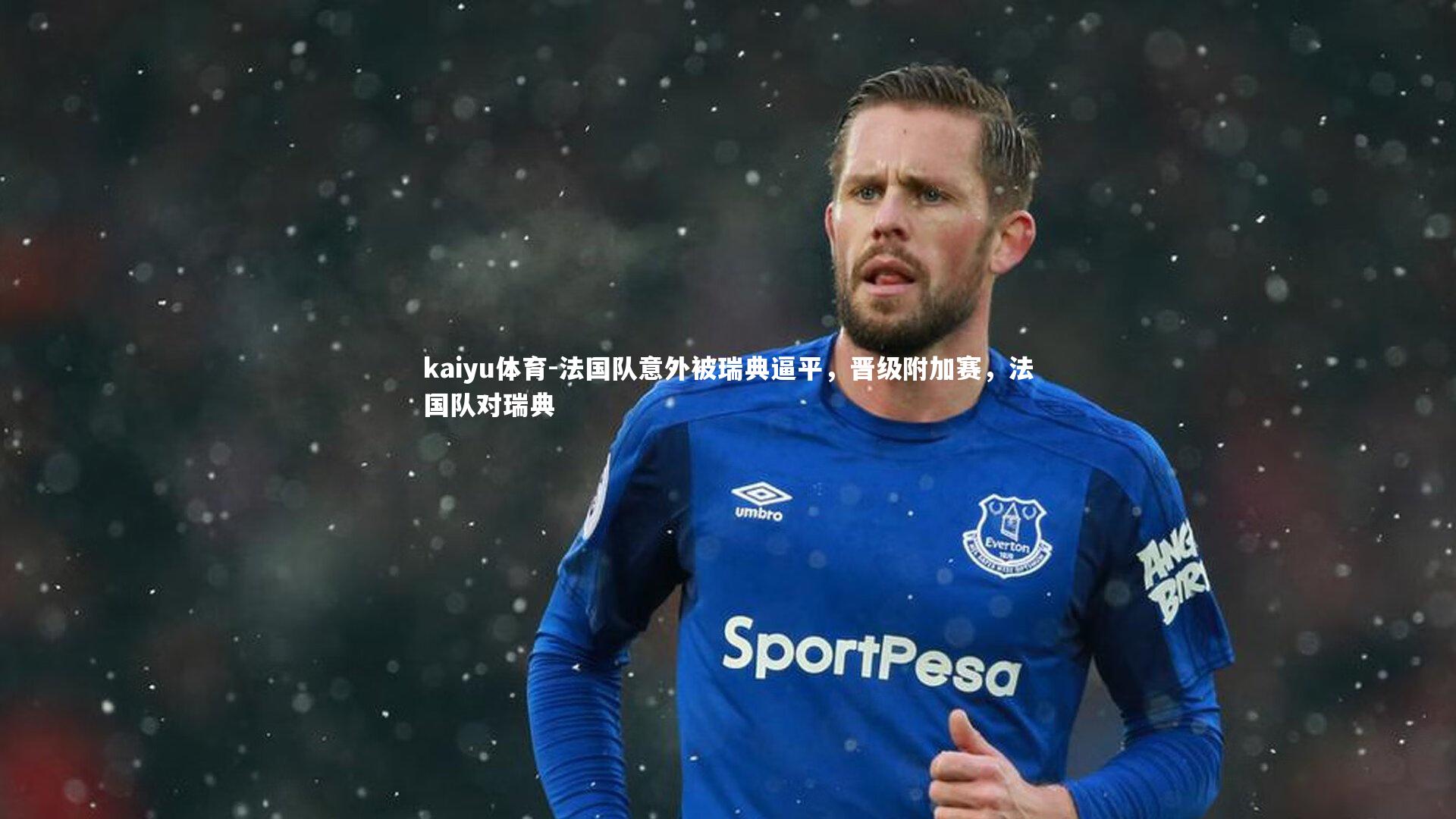 kaiyu体育-法国队意外被瑞典逼平，晋级附加赛，法国队对瑞典