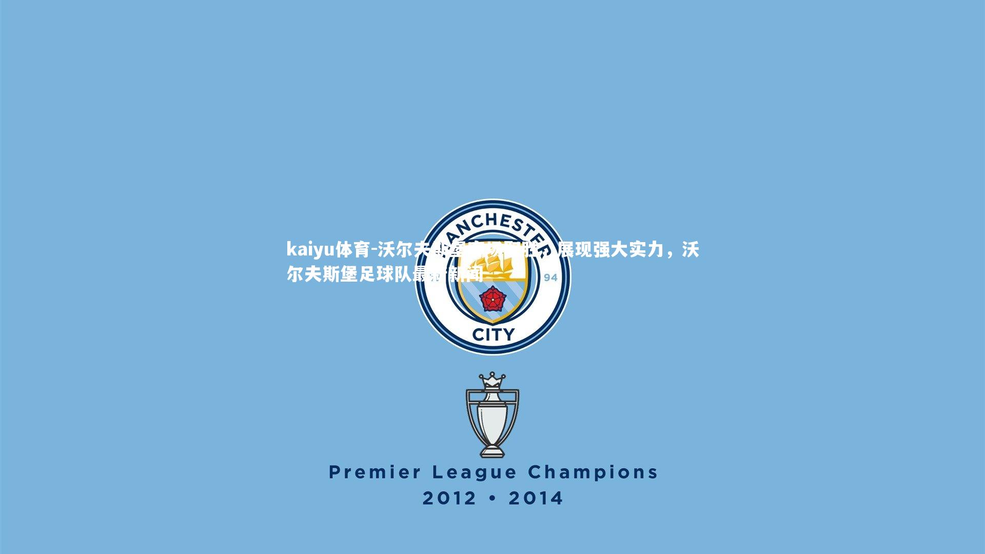 沃尔夫斯堡客场取胜，展现强大实力，沃尔夫斯堡足球队最新新闻