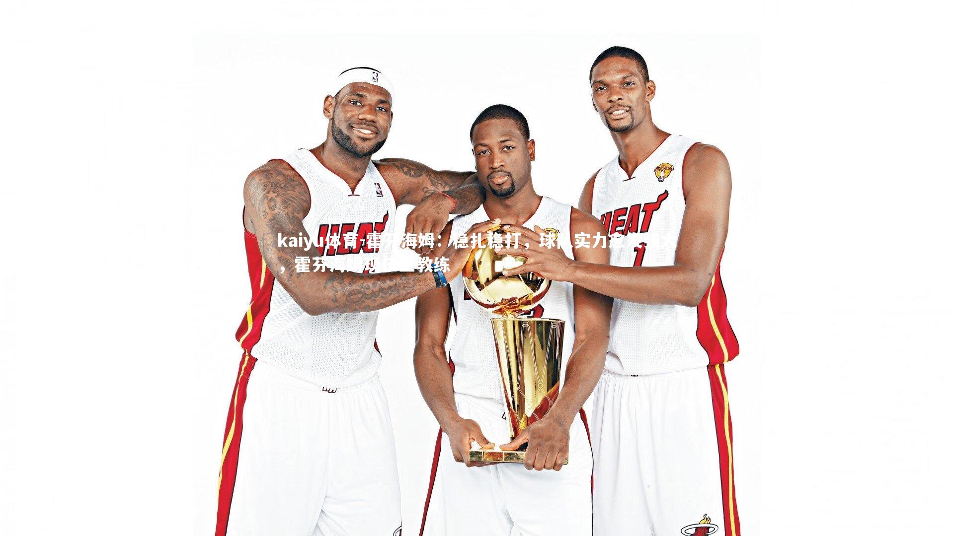 霍芬海姆:稳扎稳打,球队实力愈发强大,霍芬海姆现任主教练